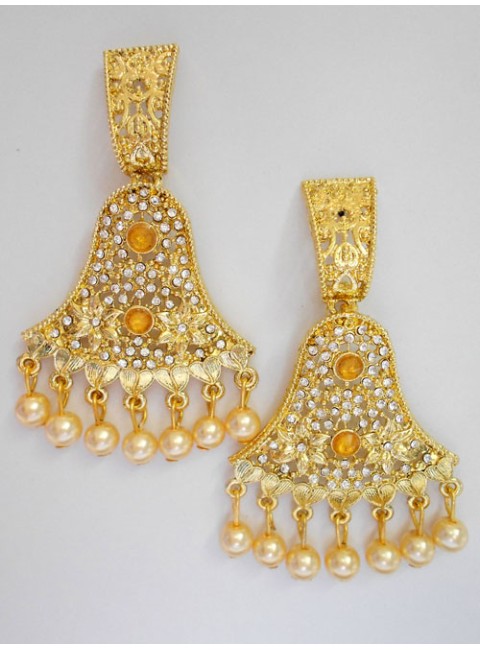 Fashion Earrings